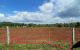 thum-8929831_5NsjOzFIv6_1665733116.jpg