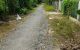 thum-8930123_KSVhkawdq9_1665741474.jpg