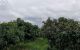 thum-8930216_fybZWhFpRA_1665749966.jpeg