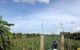 thum-8930240_FBSNCQuKtf_1665751948.jpeg