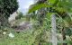 thum-m_Sz0hb3xf5y_1665743140.jpg