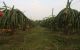thum-m_UtvDiOWBc3_1665751941.jpeg