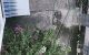 thum-m_XAzPeKOi3C_1665721375.JPG