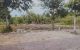 thum-m_tIC3XPGZwk_1665741048.jpg