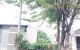 thum-8931256_Xkt26f7eCS_1665797340.jpg