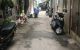 thum-8931279_WscxhOIEk6_1665798015.jpg