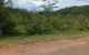 thum-8931548_KAyMFfqG6z_1665803700.jpg