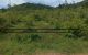 thum-8931548_gwWtx5qAOr_1665803705.jpg