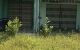 thum-8931795_GNeZTR6PI9_1665809304.jpg