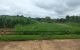thum-8931879_QOJRbCm7aX_1665817799.jpg