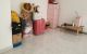 thum-8931988_g1XnCHvNM7_1665822735.jpg