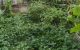 thum-8932156_TdLC2x7Muo_1665844332.jpg