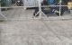 thum-8932156_imsO1HSVP4_1665844334.jpg
