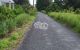 thum-m_8Vq70PpwZl_1665809848.jpg
