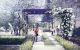 thum-m_gikpI9bxUG_1665821789.jpg