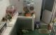 thum-8933367_9VoBPeHc0k_1665902685.jpg