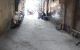thum-8935364_nA1sz6OGBE_1665974312.jpg