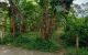thum-8935438_xD3zi9OPn8_1665976082.jpg