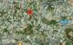 thum-8935815_TeBvsM5IHO_1665991192.jpg