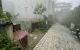 thum-8936087_nfS6UALzyB_1665999809.jpg