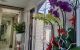 thum-8936113_C4fUPhg59j_1666003233.jpg