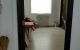 thum-8936130_sSZP2xBVtl_1666007233.jpg