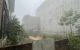 thum-m_Ky2qD67Tn3_1665999805.jpg