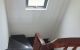 thum-m_wyX1VFG9jJ_1665959499.jpg