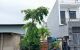 thum-8937260_M3wjFLyfHN_1666056096.jpg
