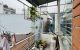 thum-8937937_miZ3c7VgBW_1666076384.jpg