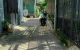 thum-8938262_T7Bb8nSjWR_1666084765.jpg