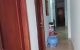 thum-8938446_AdyezNoCEJ_1666102788.jpg