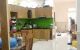 thum-8939408_4G1Y0XmPxK_1666143248.jpg