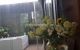 thum-8939578_WyM87sP4hZ_1666147741.jpg