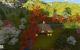 thum-8940170_NB9MuU32hi_1666174863.jpg