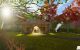 thum-8940170_PJSlxb5Fs4_1666174867.jpg