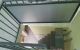 thum-8941685_if7oq6YgE9_1666227876.jpg