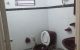thum-8942401_T4hYc8mxXy_1666256370.jpg