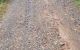 thum-8944191_qj0uAPCTsh_1666321671.jpg