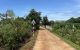 thum-8944775_R6NmaopMKx_1666340845.jpg