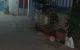 thum-m_62ExZ8MfQG_1666336324.jpg