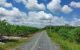 thum-8946273_Eb1NDKMGsT_1666407139.jpg