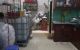 thum-8947677_yJkY6iSXNs_1666491535.jpg