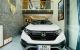 thum-8948004_xvR1thSDW2_1666517549.jpg