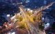 thum-8948481_7Fui4lzkap_1666539085.jpg