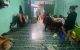 thum-m_XojsWqMOk6_1666540164.jpg