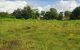 thum-m_hrmf3OcdzT_1666582945.jpg