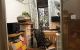 thum-8953016_N82h7IxjXT_1666750999.jpg