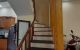 thum-8953528_eDyE8G1vpW_1666767279.jpg