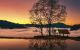 thum-8955377_zxCXo931hg_1666853389.jpg